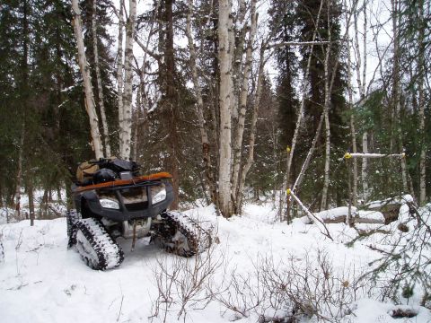 2000 Ford E350 - An all-terrain vehicle equipped with tracks navigates a snow-covered forest landscape.