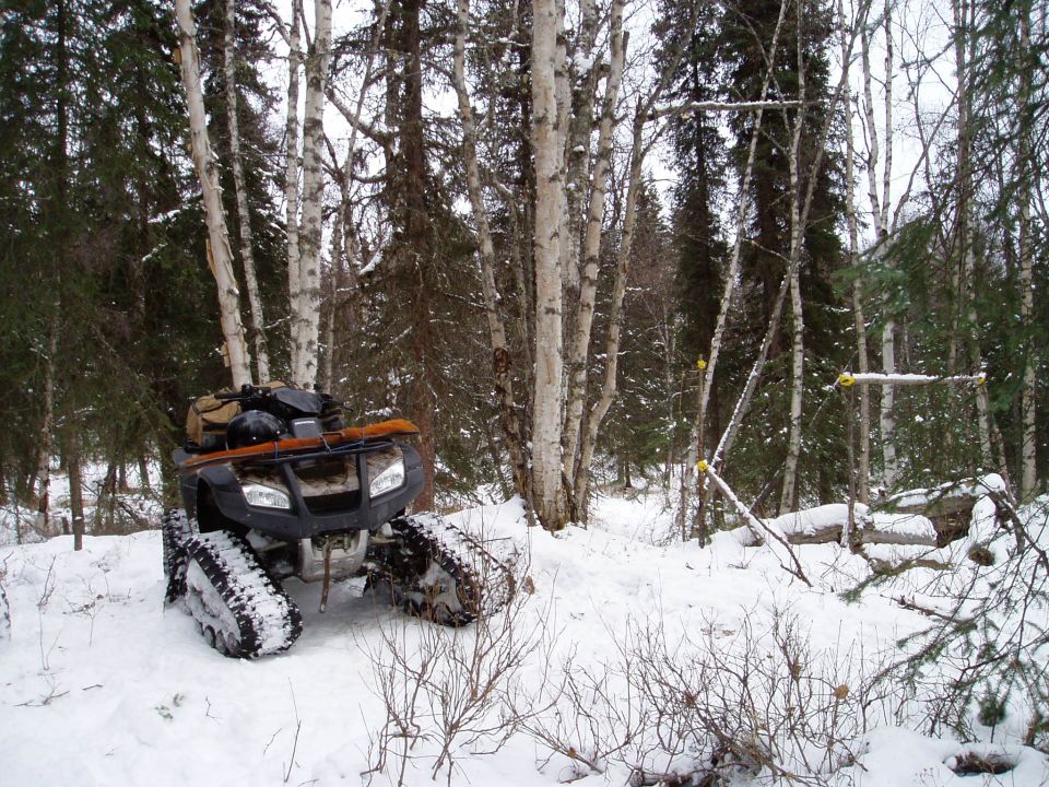 All-terrain vehicle with tracks in a snowy forest