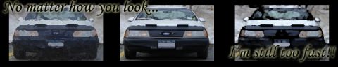 1990 Ford Taurus photo