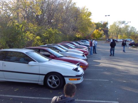 1991 Ford Probe - A row of Ford Probes are parked in a lot on a sunny day, with trees in the background.