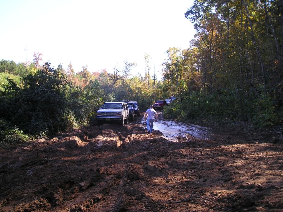 Several trucks and SUVs driving through a muddy trail in the woods. One person is walking ahead of the lead vehicle