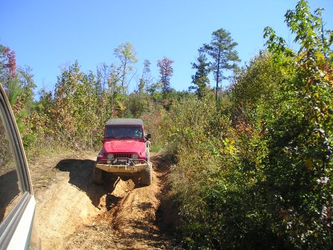 1989 Ford Bronco - A red Jeep Wrangler navigates a challenging dirt path through a wooded area, with another vehicle partially visible on the left.