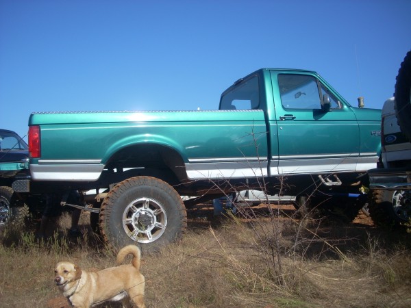 Side view of a lifted green pickup truck with a dog in front