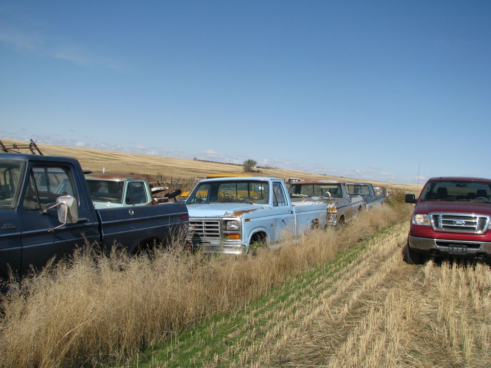 Light blue pickup truck from the early 1980s parked in a field