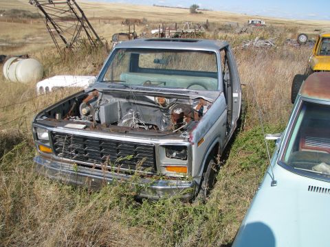 1983 Ford F-250 - An old pickup truck sits in a field of tall grass, its hood open, revealing the engine bay.