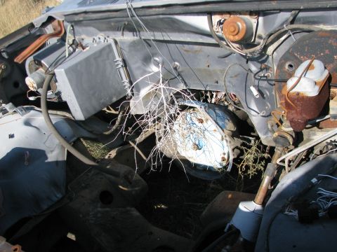1983 Ford F-250 - The engine bay of a truck shows significant wear and tear, with visible rust and tangled wires.