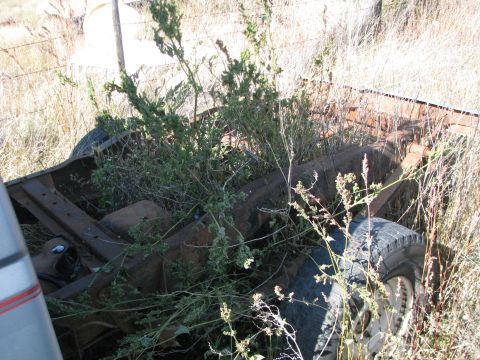 1983 Ford F-250 - Overgrown and rusted truck frame with a single tire visible, partially obscured by weeds.