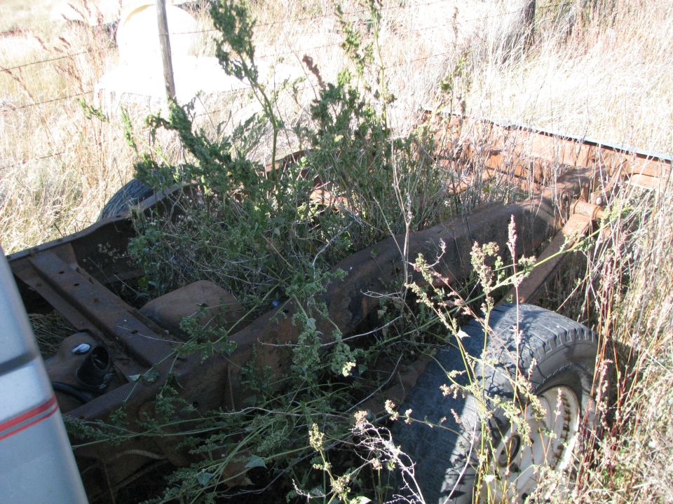 rusted truck frame and tire overgrown with weeds