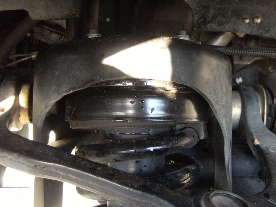 Underside view of vehicle rear axle, coil spring and control arm