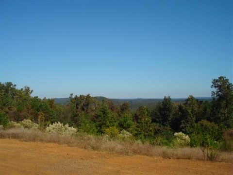 2008 International School Bus - A scenic view of a wooded valley from a dirt road on a clear day.