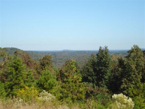 2008 International School Bus - View of rolling hills and dense forest on a clear day. Supermotors.net logo visible.