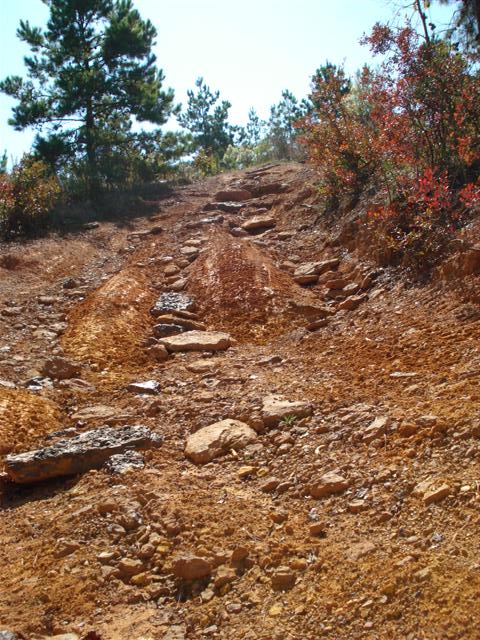 2008 International School Bus - A rough off-road trail with many rocks and tire tracks ascends a hill under a clear sky.