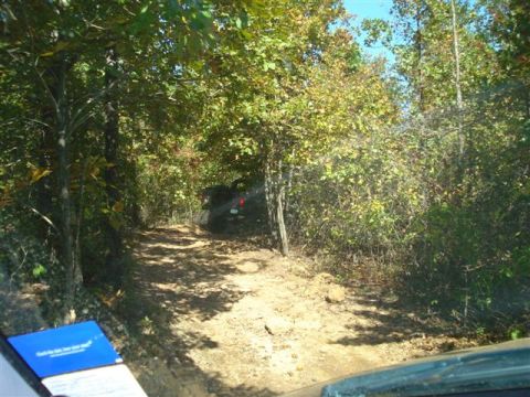 2008 International School Bus - A dirt path winds through trees, with an off-road vehicle visible in the distance.