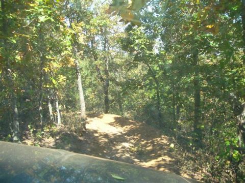 2008 International School Bus - Driving on a dirt road through a wooded area. A portion of the vehicle is in the foreground.