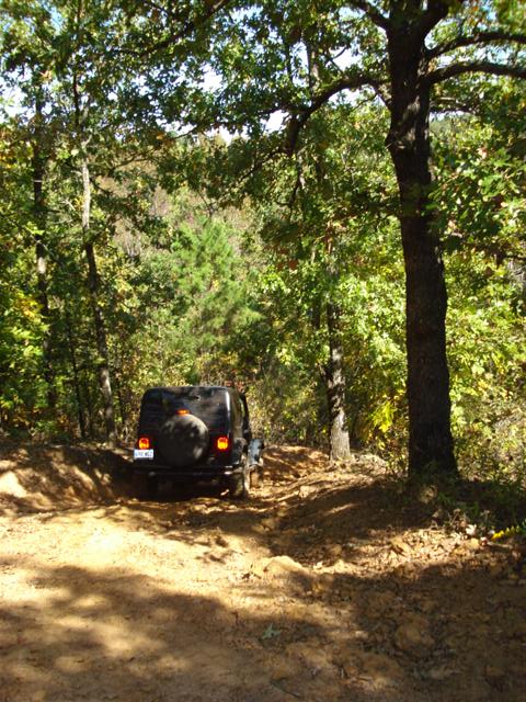2008 International School Bus - A black Jeep Wrangler navigates a wooded trail, its rear end visible as it drives uphill.