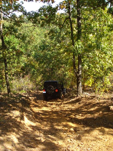 2008 International School Bus - A black Jeep Wrangler navigates a challenging muddy path through a dense forest.