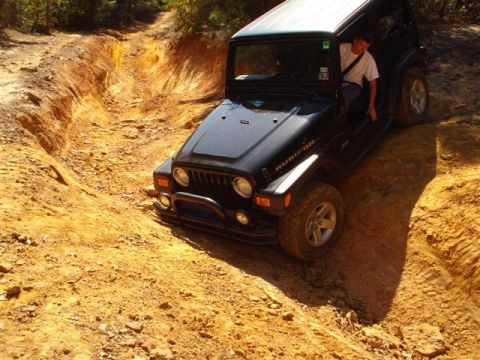 2008 International School Bus - A black Jeep Wrangler Rubicon tackles a challenging off-road trail with steep, sandy banks.