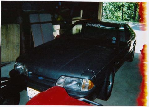 1994 Ford F-150 - the stang