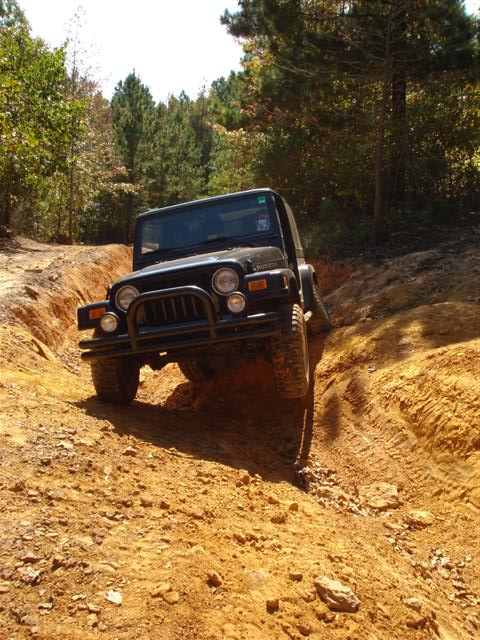 2008 International School Bus - A black Jeep Wrangler TJ navigates a challenging dirt trail surrounded by trees.