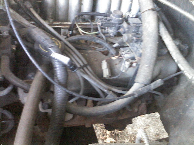 Engine bay of a 1994 Ford Bronco, showing hoses, wires, and engine components