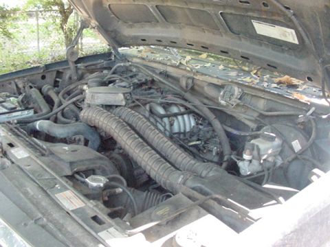 1994 Ford Bronco photo
