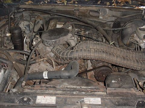 1994 Ford Bronco photo