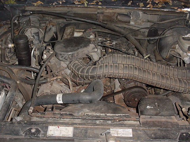 Engine bay with hoses and belts visible