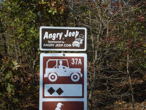 2008 International School Bus - Signs for 'Angry Jeep' and trail marker '37A' are visible amongst trees.