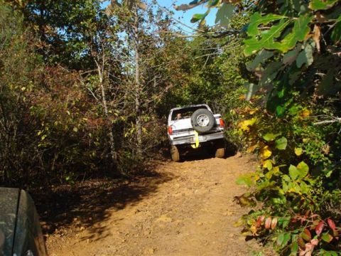 2008 International School Bus - White SUV navigates a wooded dirt trail, spare tire visible on the back.
