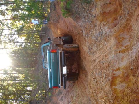 2008 International School Bus - Pickup truck navigating a dirt path with trees and sun glare in the background.