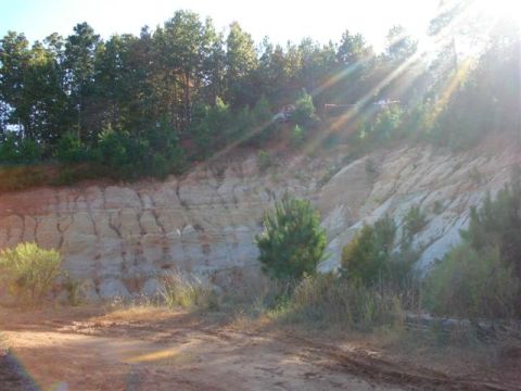 2008 International School Bus - Two vehicles are visible on a dirt embankment under a bright, sunny sky.