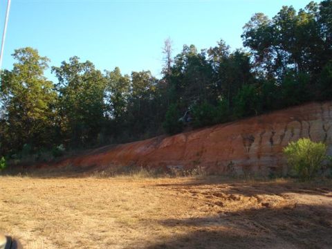 2008 International School Bus - Cleared field and wooded hillside under a clear blue sky.