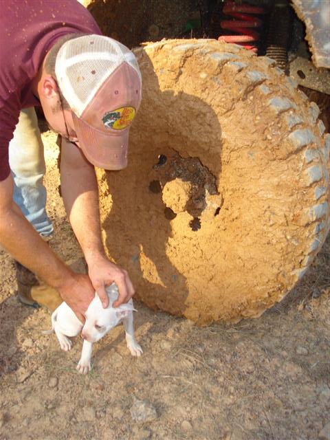 2008 International School Bus - A person holds a puppy near a large, mud-caked tire, suggesting off-road activity.
