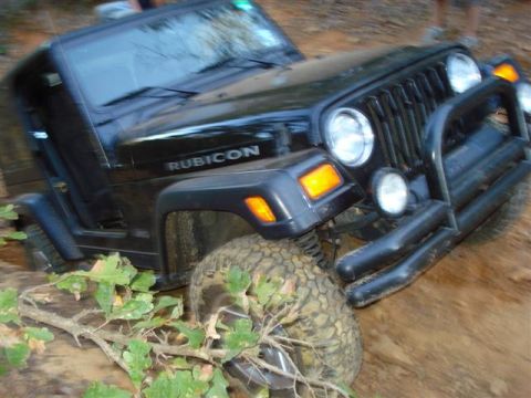 2008 International School Bus - A black Jeep Wrangler Rubicon is stuck in the mud, with its front tire partially submerged and branches obscuring the view.