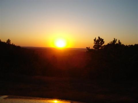 2008 International School Bus - A scenic sunset casts a warm glow over rolling hills and silhouetted trees, with a reflective surface in the foreground.