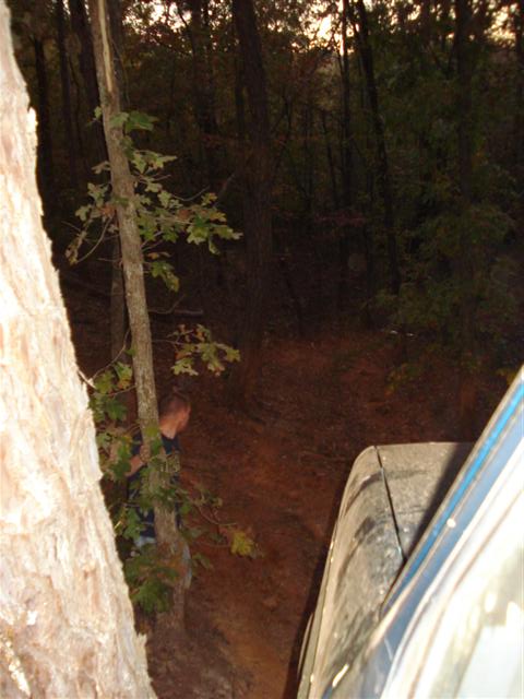 2008 International School Bus - A blue vehicle navigates a wooded trail, with a person visible behind a tree.