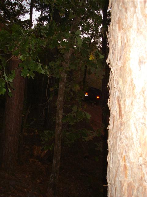 2008 International School Bus - A dark SUV navigates an incline on a dirt path surrounded by trees.