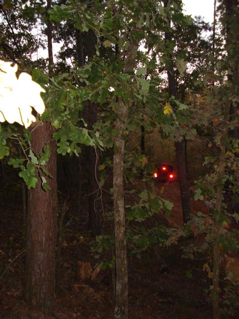 2008 International School Bus - A vehicle's red taillights glow in the distance, partially obscured by trees and foliage.