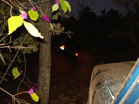 2008 International School Bus - Two vehicles navigate a dark, wooded trail at night, illuminated by headlights and trail lights.