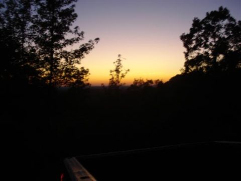2008 International School Bus - The sun sets behind silhouetted trees, casting a colorful glow across the sky.
