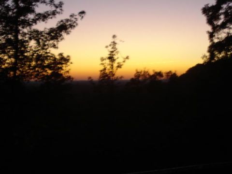 2008 International School Bus - A dark landscape with trees silhouetted against a vibrant sunset sky, a website watermark at the bottom right.