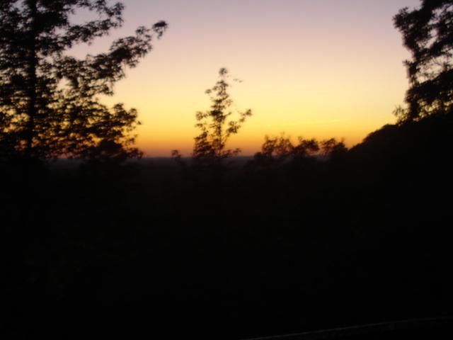 Silhouette of trees against a gradient sunset sky with a Supermotors.net watermark