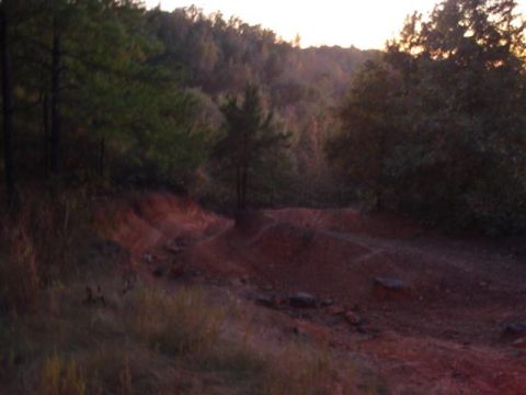2008 International School Bus - A dirt track navigates a wooded hillside during sunset, with the Supermotors.net logo visible in the lower right corner.