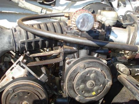2008 International School Bus - Close-up view of various engine components, including the air intake and compressor.