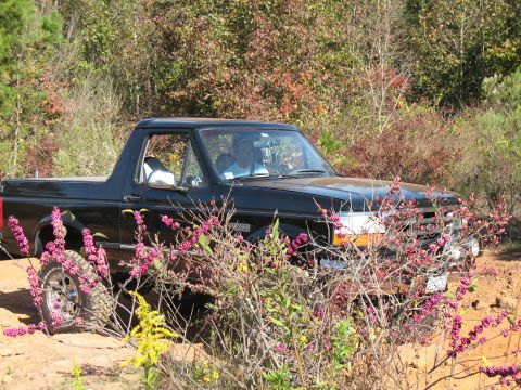 1993 Ford Bronco - Joe approaching