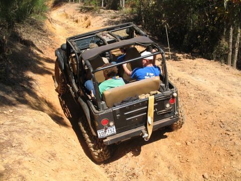 1993 Ford Bronco - Rear of nice Jeep