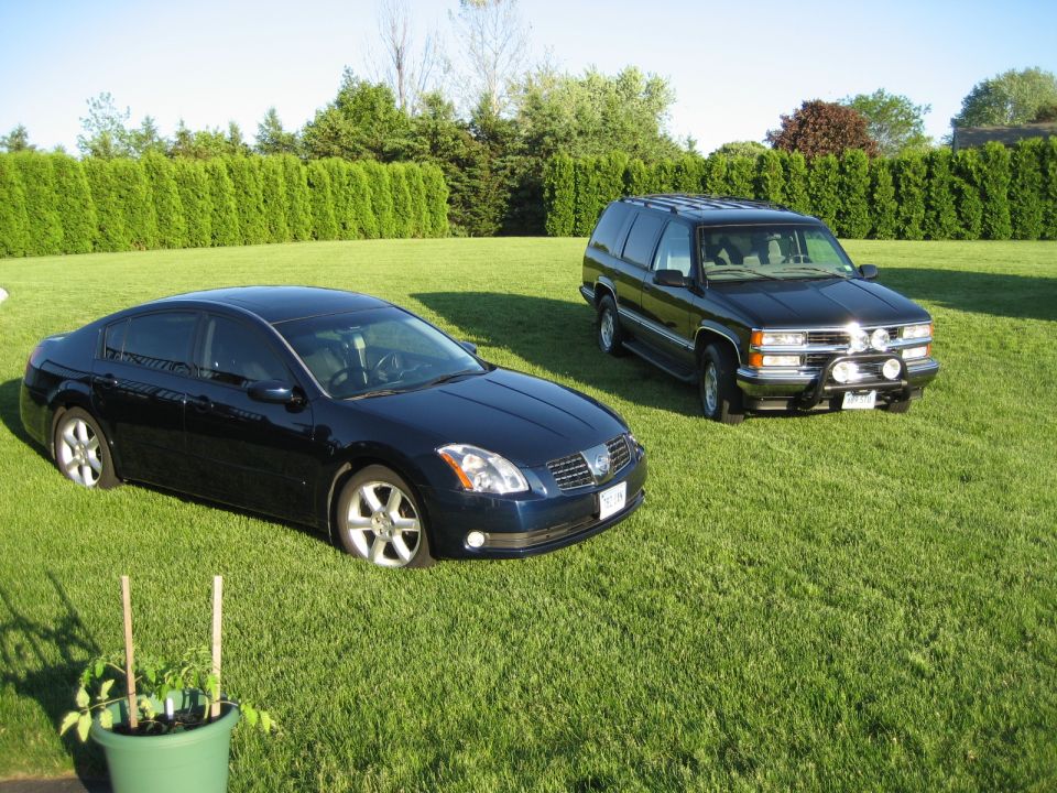 dark sedan and black SUV parked on grass lawn