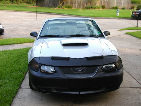 2002 Ford Mustang - A white 2002 Ford Mustang convertible is parked on a driveway, partially covered by a black car bra.