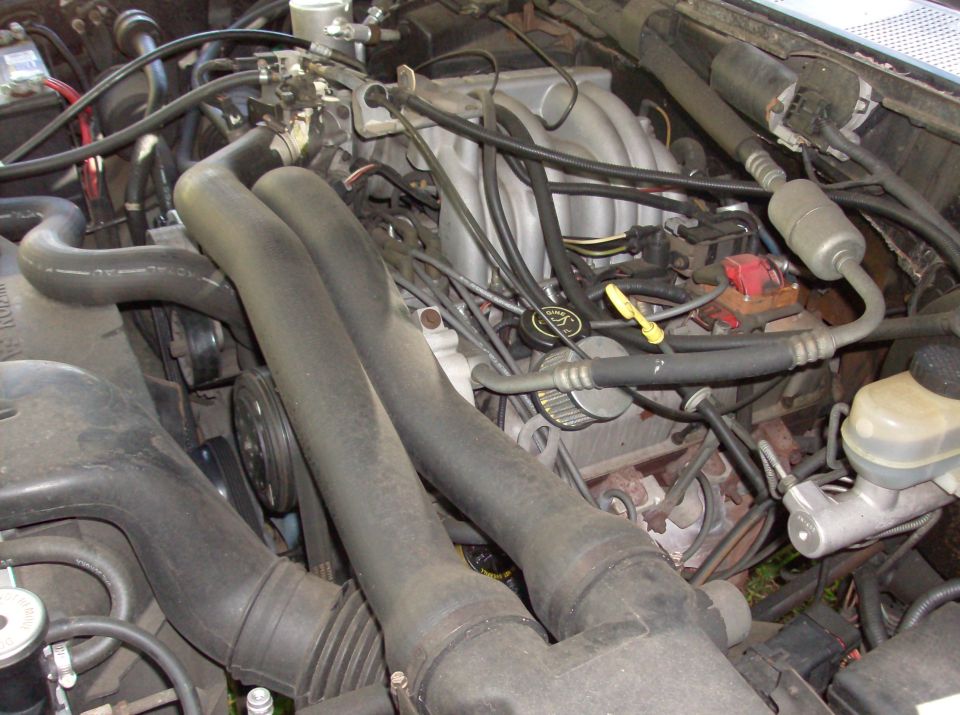 engine bay with hoses, wiring, and engine components visible