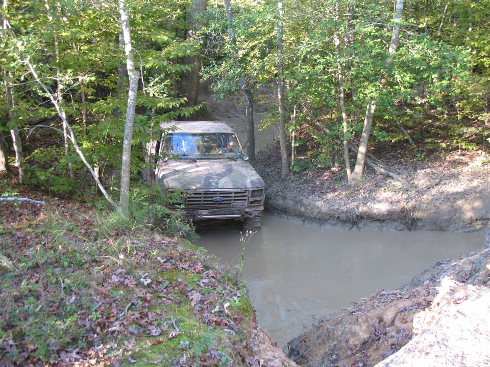 and then Muddy Jack found some mud....his eyes lit up like a kid at Christmas...